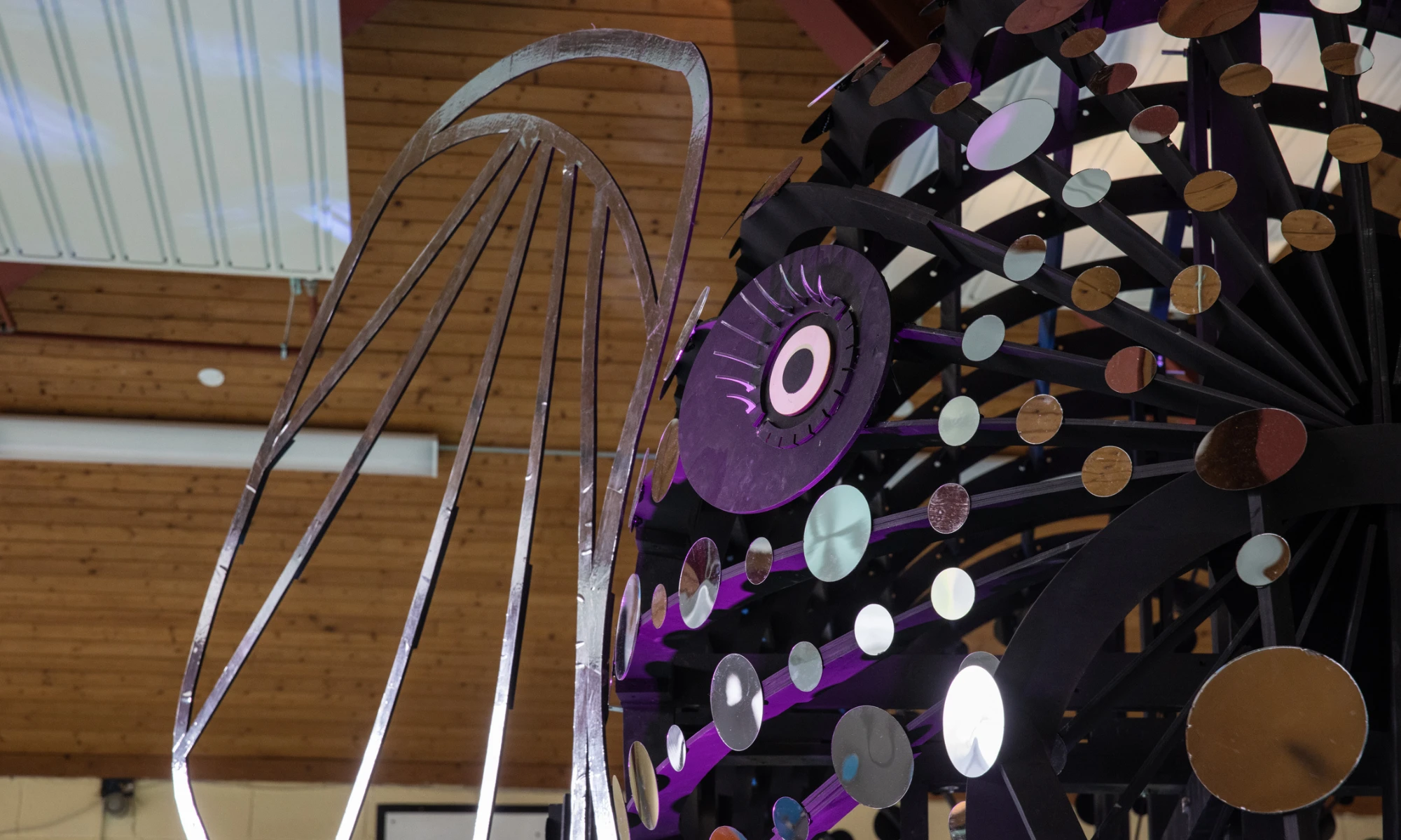 Close up photo of eye and ear of lifesize elephant sculpture