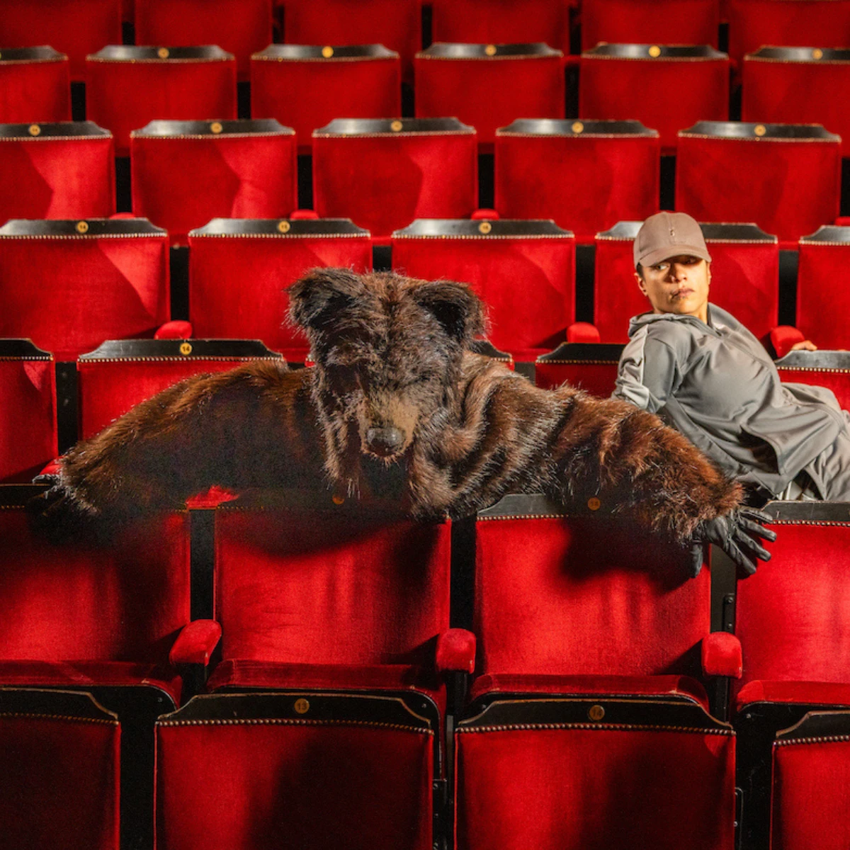 Photo of man in bear costume and actor on theatre seats