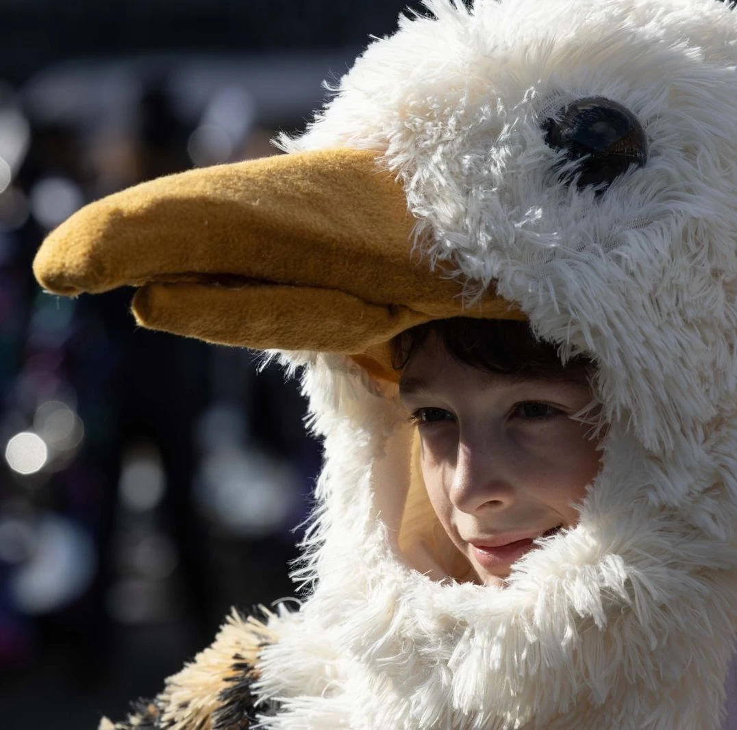 Photo of ArtFX team member in seagull costume for St. Patrick's Day Parade Dublin 2024.