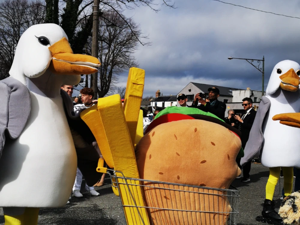 Photo of ArtFX team in seagull costumes for St. Patrick's Day Parade Dublin 2024.