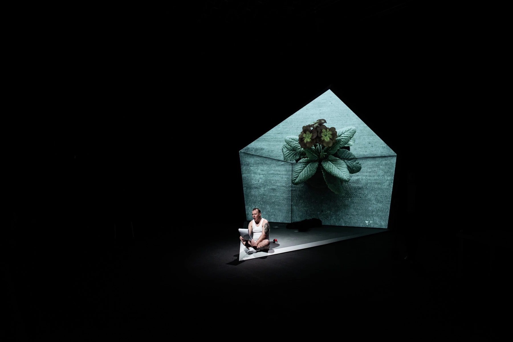 Man sitting cross-legged on stage with a projection of a large plant behind him.